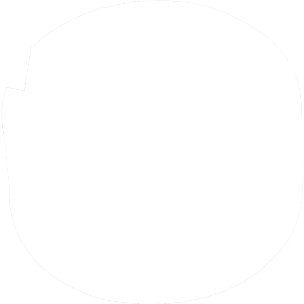 Formula 1 Gummi-Pad RP500 1 Formula 1 Gummi-Pad RP500